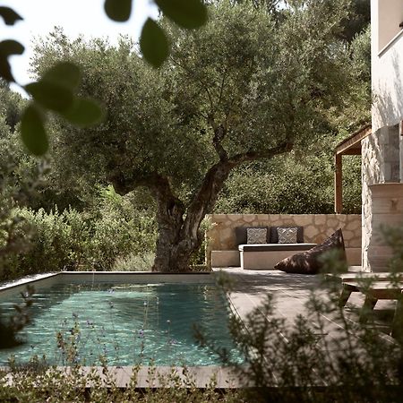 Zayn Luxury Villas, A Serene Escape, By Thinkvilla تسيليفي المظهر الخارجي الصورة