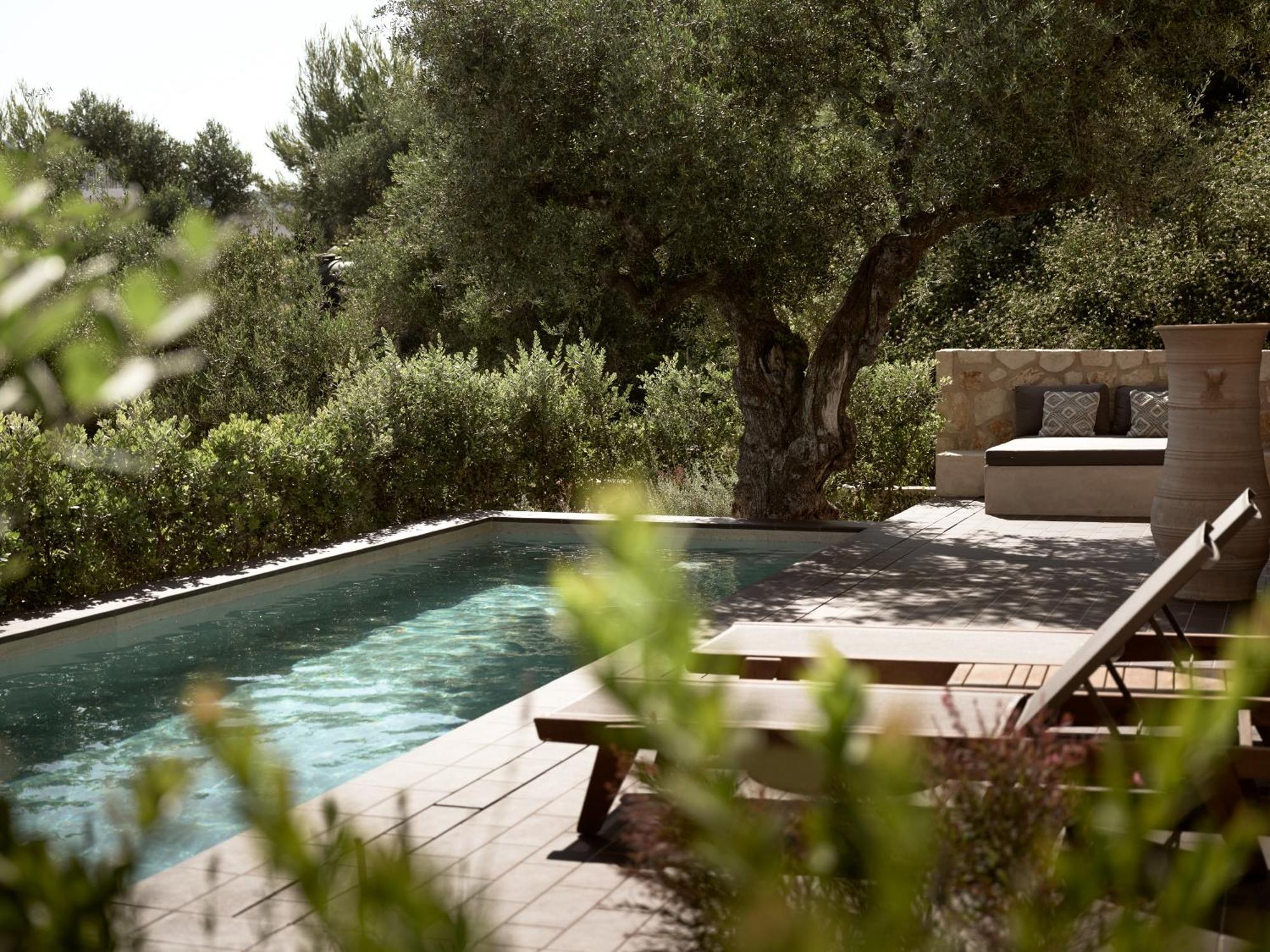Zayn Luxury Villas, A Serene Escape, By Thinkvilla تسيليفي المظهر الخارجي الصورة