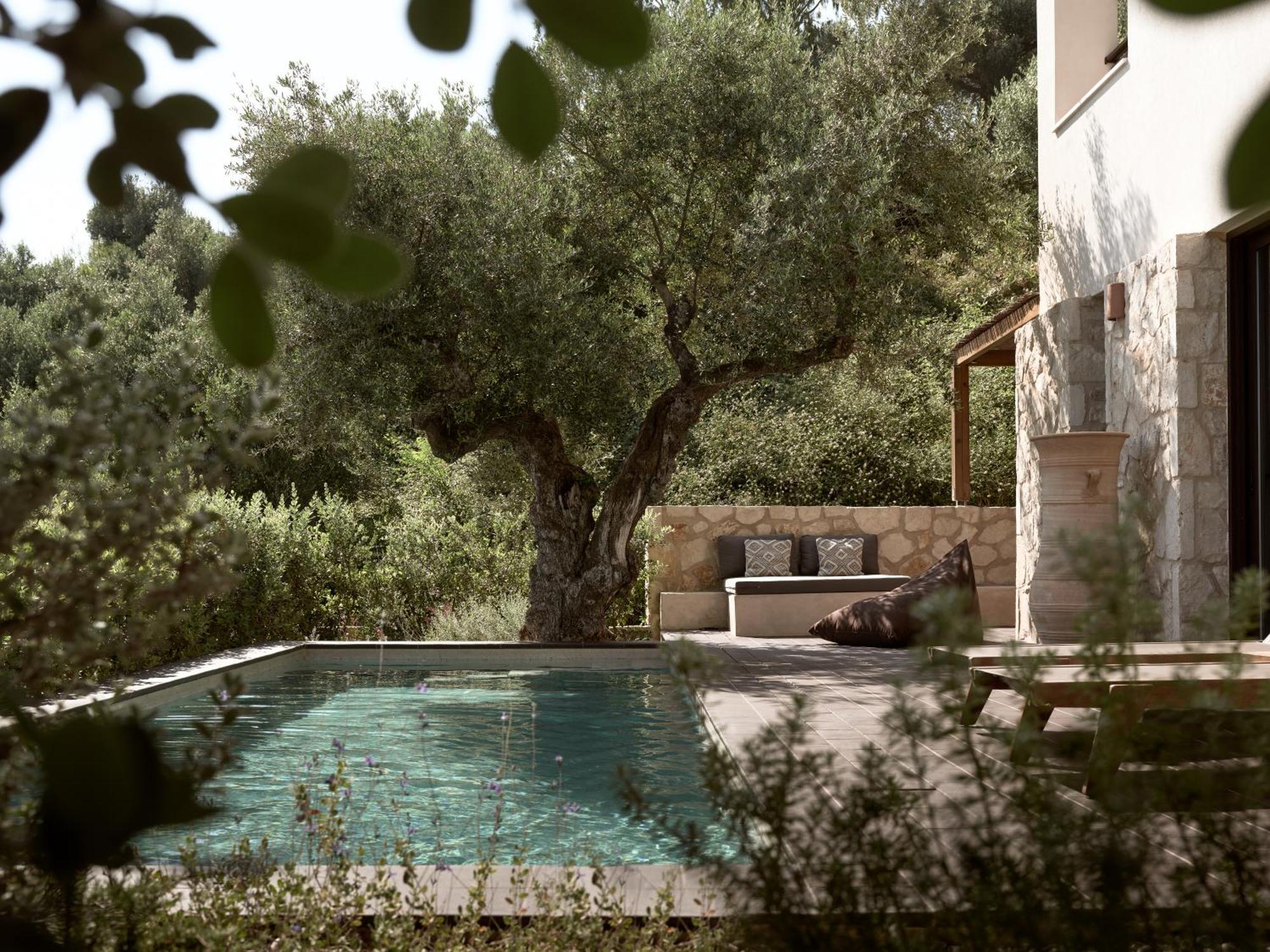 Zayn Luxury Villas, A Serene Escape, By Thinkvilla تسيليفي المظهر الخارجي الصورة