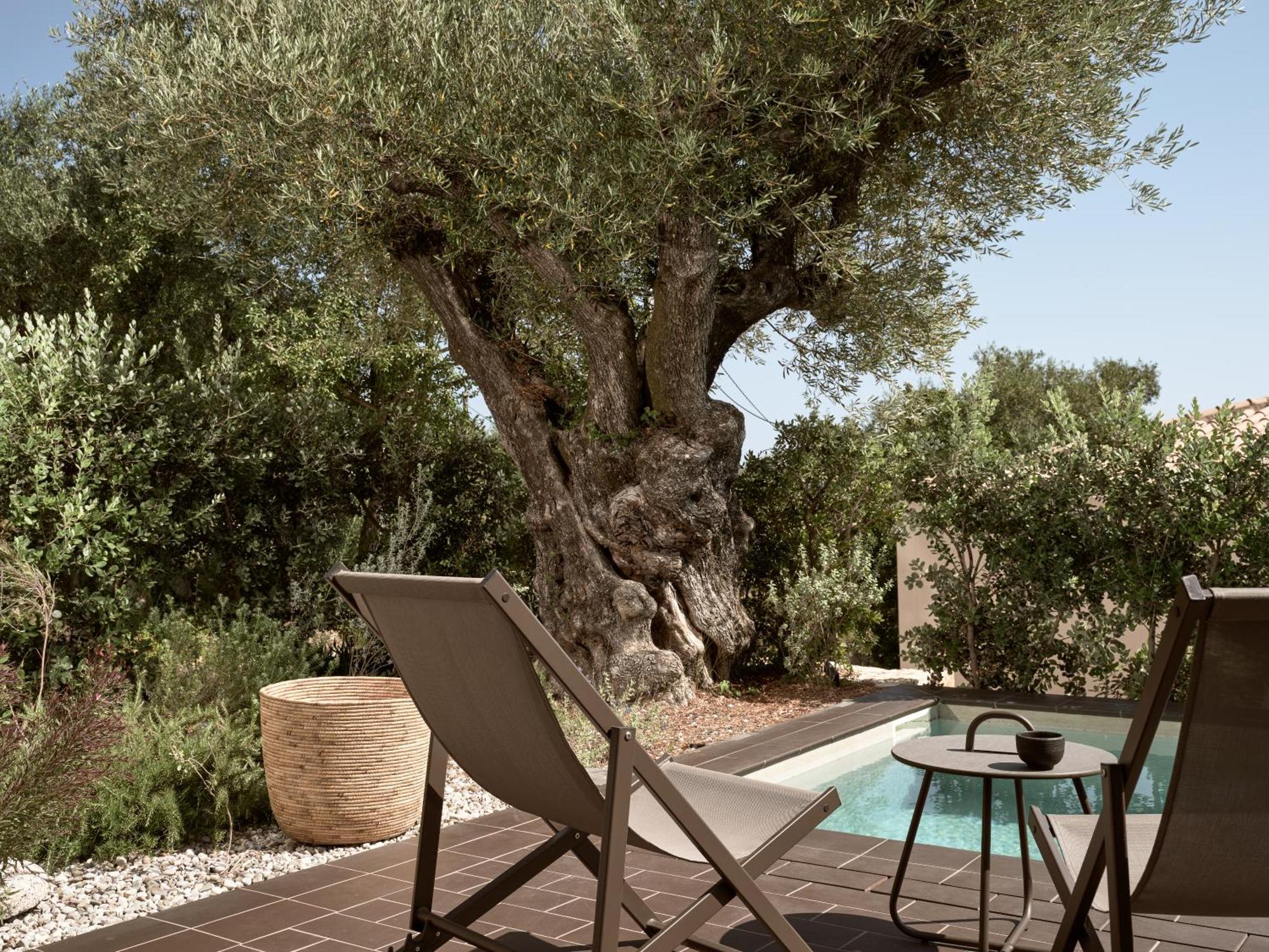 Zayn Luxury Villas, A Serene Escape, By Thinkvilla تسيليفي المظهر الخارجي الصورة