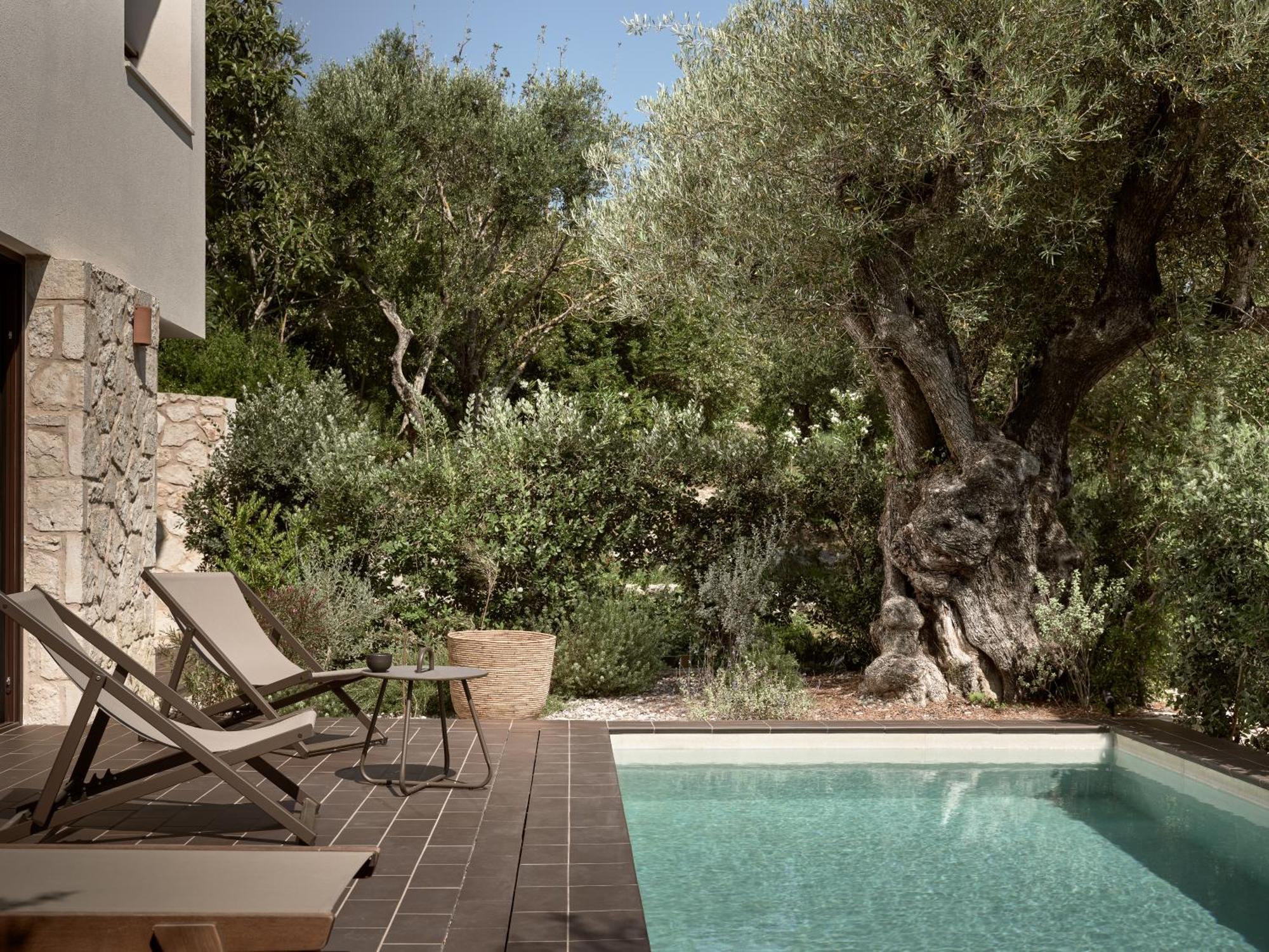 Zayn Luxury Villas, A Serene Escape, By Thinkvilla تسيليفي المظهر الخارجي الصورة